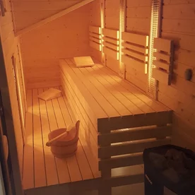 Combined infrared sauna