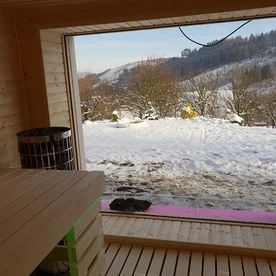 Finnish sauna with a large window and a view of nature