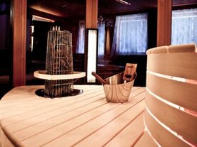 sauna furnaces for Finnish saunas